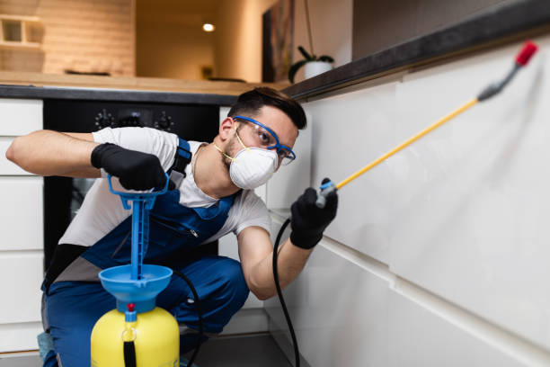 Best Wasp Removal Services  in Marks, MS