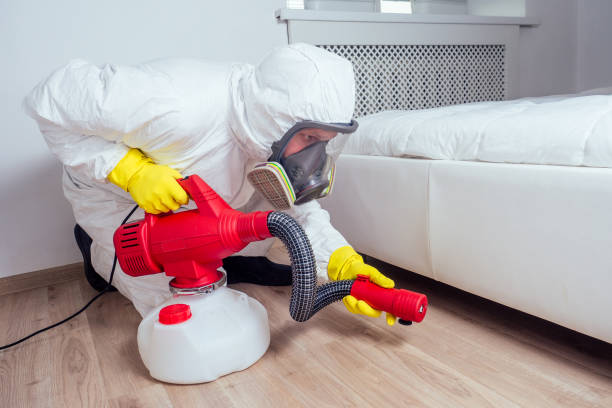 Best Pest Control Near Me in Marks, MS