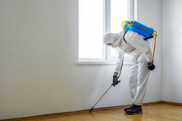 Best Affordable Pest Control Services  in Marks, MS