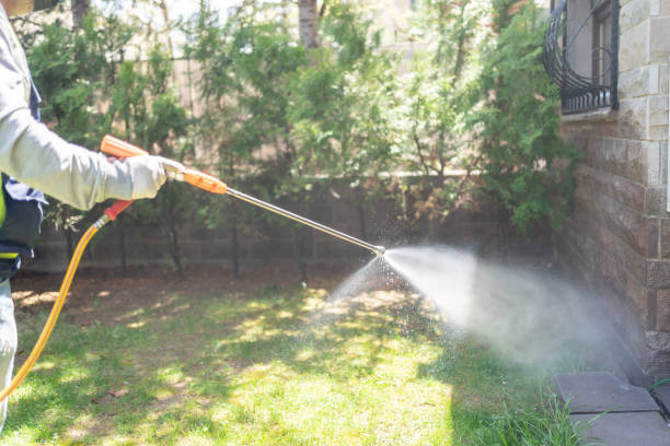Best Wasp Removal Services  in Marks, MS