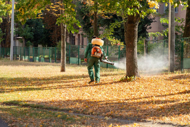 Best Cockroach Control Services  in Marks, MS