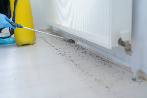 Best Commercial Pest Control Services  in Marks, MS